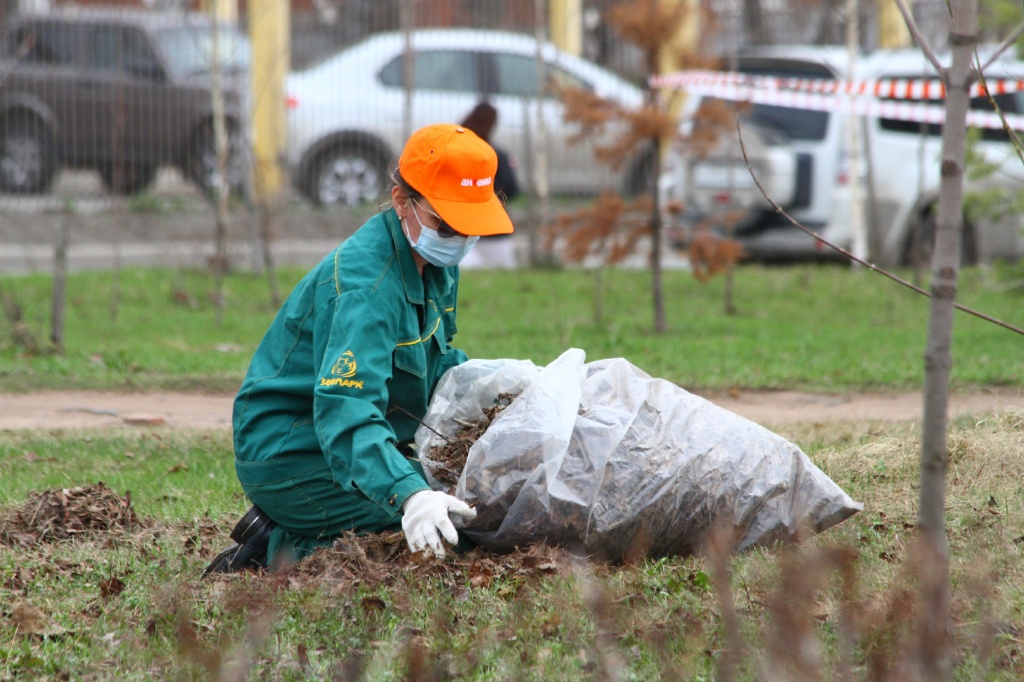 ������� ��������CAMC7486.jpg